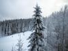 Tryvann_004-mod