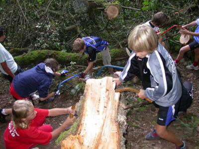 Am ersten Projekt versperrten 4 Bäume unsere Erwärmungsrunde. Im Verlaufe der Projektwoche organisierten sich die Sportler/inen Sägen. Innerhalb von fast 8 Stunden wurde die Trainingsstrecke freigeräumt. Am ersten Projekt versperrten 4 Bäume unsere Erwärmungsrunde. Im Verlaufe der Projektwoche organisierten sich die Sportler/inen Sägen. Innerhalb von fast 8 Stunden wurde die Trainingsstrecke freigeräumt.