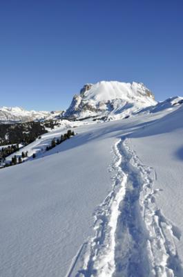Dolomiten