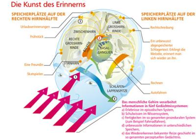 grafik_erinnerungen