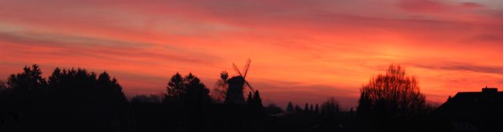 Der Frühling kommt!