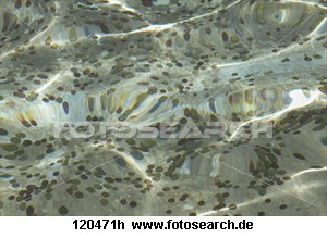 Schwallhalla Münzaura