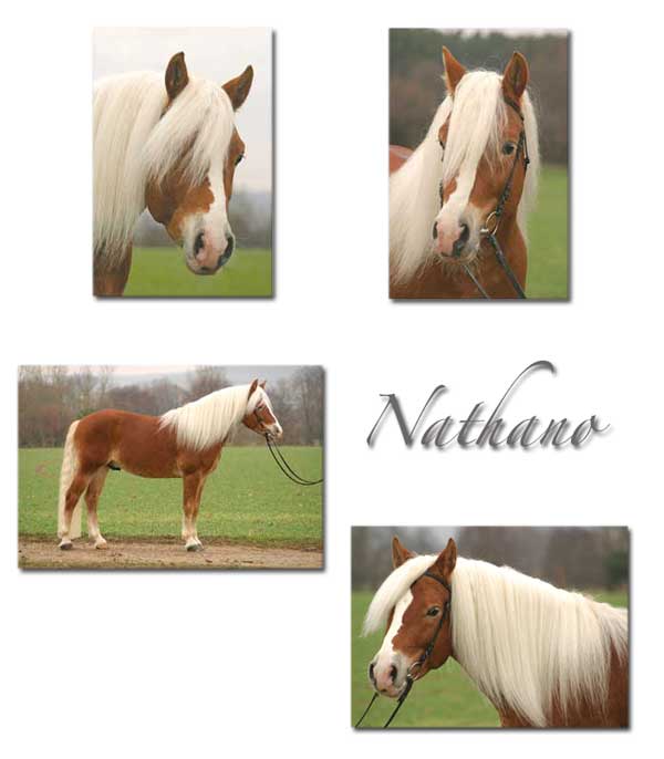 Nathanobilder