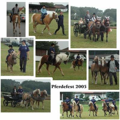 comp_fest