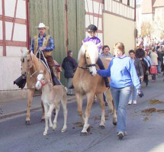 fohlengeorgi