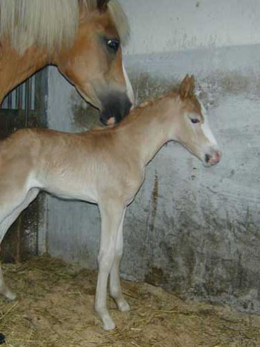 quendi_neptun_baby_1tag_120
