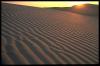 dune23