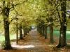 herbst