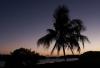 palmen_nach_sonnenuntergang_pict3170a