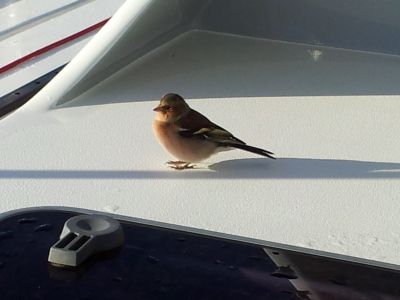 20121025_102316