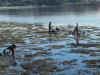 20121116_124503-Muschelgraben