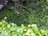 20130401-Ostern-mit-Phil-Lena-368
