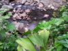 An den Wasserfällen von Ecrivisses