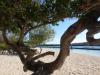unser Strand...