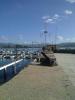 Foto0573