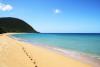 Der Strand von Deshaies...