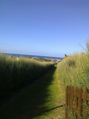 Ile-de-Batz-010
