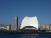 Der breite Rücken des "Auditorio"