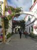 Bougainvilleas und Hibiskus all überall...