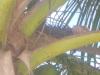 Suchbild...