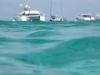 ...Schwimmender Schatten in 
<br />
herrlicher Brise...