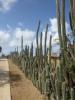 Bonaire'sche Sicherung von Privateigentum...