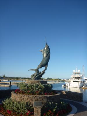 Der Marlin...
<br />
Das Wahrzeichen vieler Marinas Der Marlin...
<br />
Das Wahrzeichen vieler Marinas