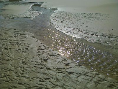 Rinnsale-zum-Meer
