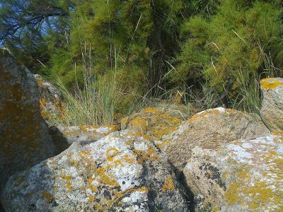Roscoff-001k