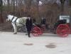 Mit-Kutschen-durch-den-Englischen-Garten