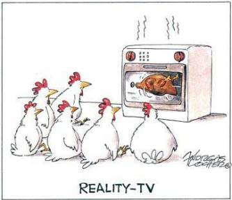 video-huhn