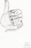 hand5