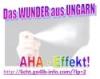 LY Banner Das WUNDER aus UNGARN  AHA EFFEKT