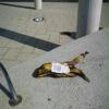banane