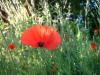 dscf0090