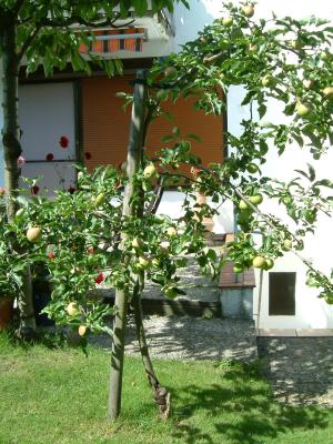 DSCF0297