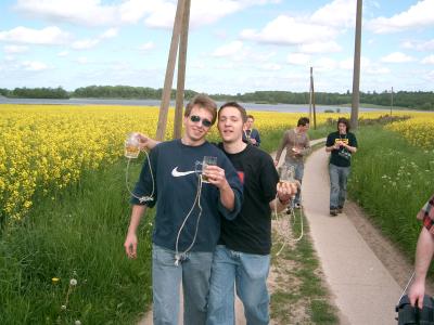 wiese