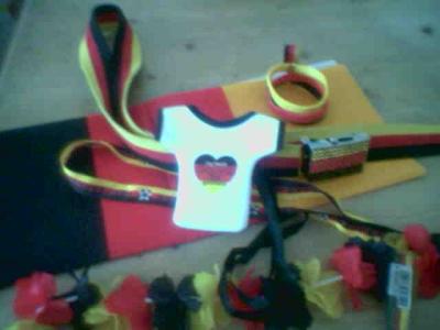 fanausruestungsunshine