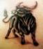 stier-tattoo