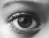 auge