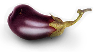 aubergine