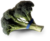 brocoli