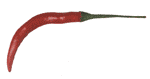 chili_anim194x369-klein