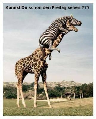 Freitag