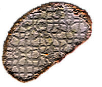 butterbrotkunst31
