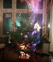 weihnachtsbaum