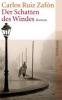 C-R-Zafon-Im-Schatten-des-Windes