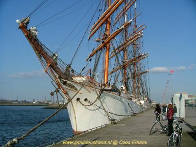 sedov