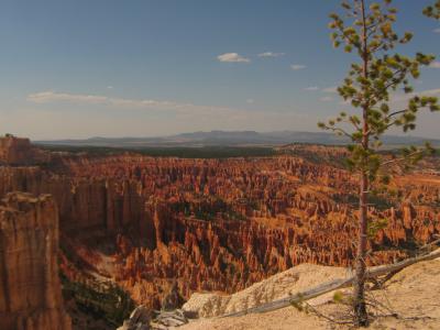 bryce-096