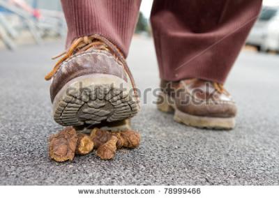 stock-photo-walking-on-dog-crap-78999466